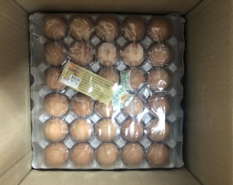 동신교회 구운계란 30개입 24판 후원