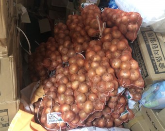 서울시장애인복지관협회 양파(12kg) 33망 후원