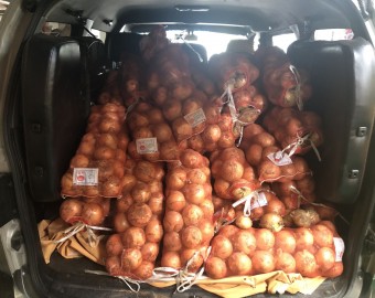 농협손해보험 양파(12kg) 60망 후원