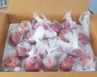 최중증발달장애인 낮 활동 프로그램 이용자 어머님 사과 1box 후원