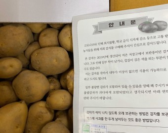 국민건강보험공단 서대문지사 감자10kg 10박스 후원