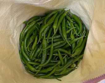 이순림님 풋고추 2자루 후원