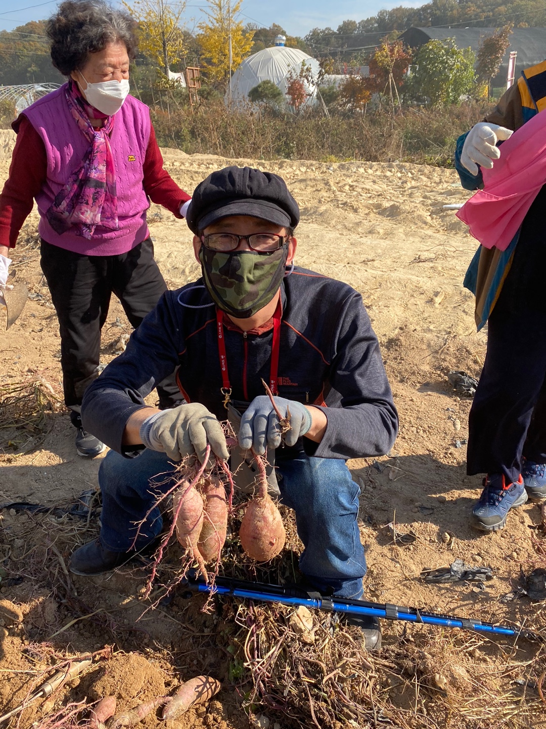 2020년 좋은 친구와 거리두기를 실천하며 함께하는 성인장애인 고구마 체험 나들이 실시.