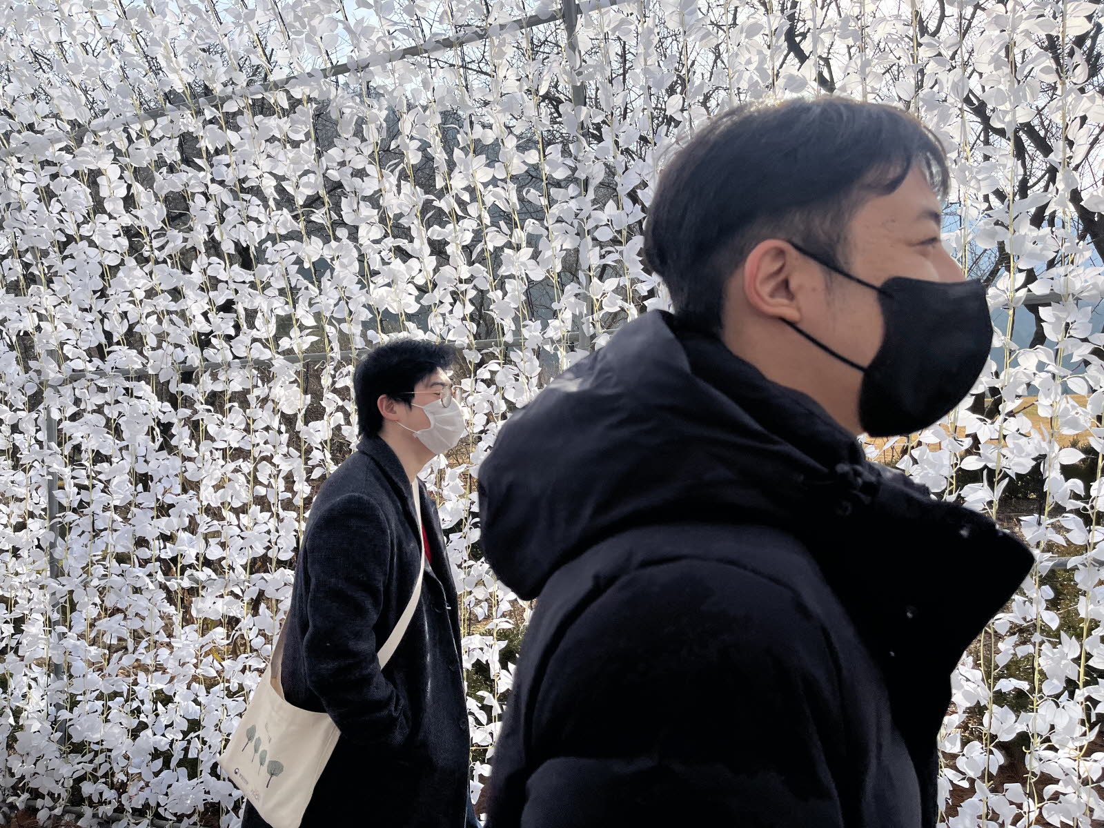 12/10 토요자유여행