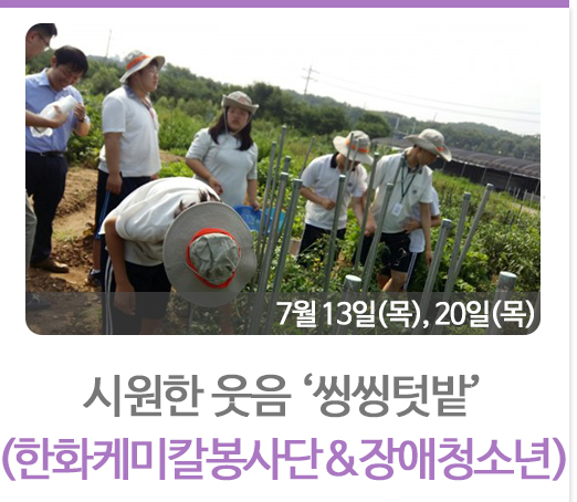 씽씽텃밭