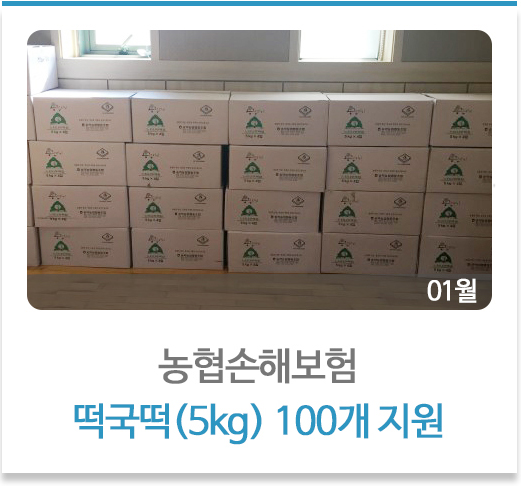 농협손해보험