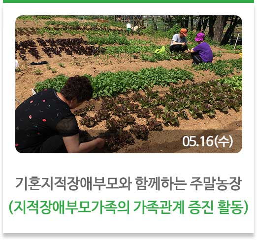 2018 초등전환교육