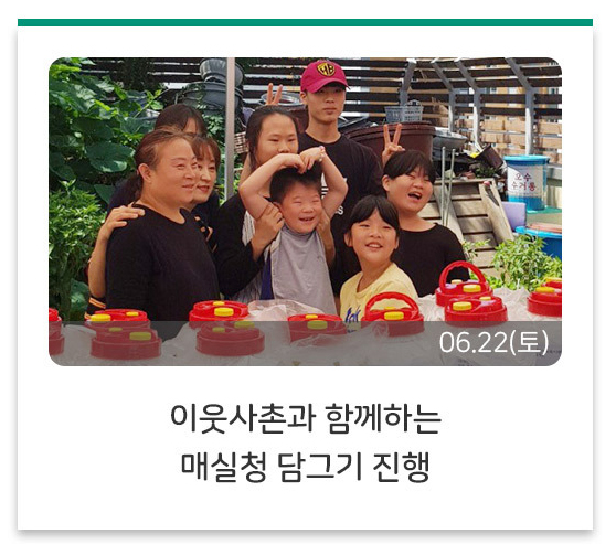 이웃사촌과 함께하는 매실청 담그기 진행