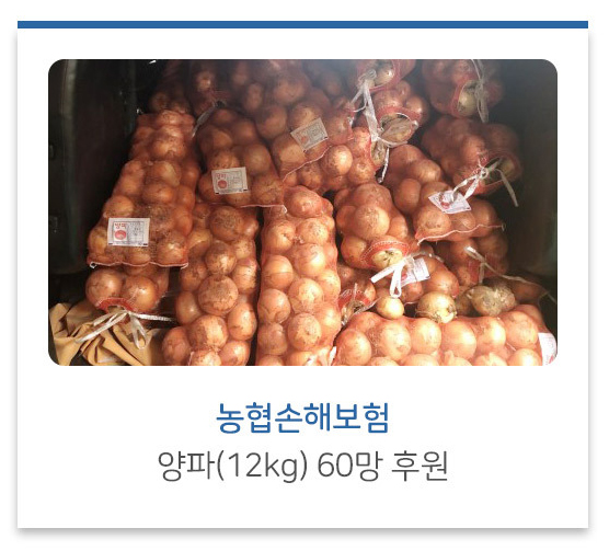 농협손해보험 양파(12kg) 60망 후원